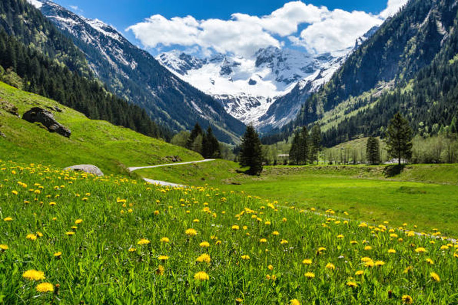 Austrian-Alps
