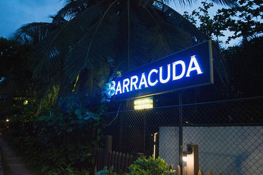 Barracuda-Restaurant