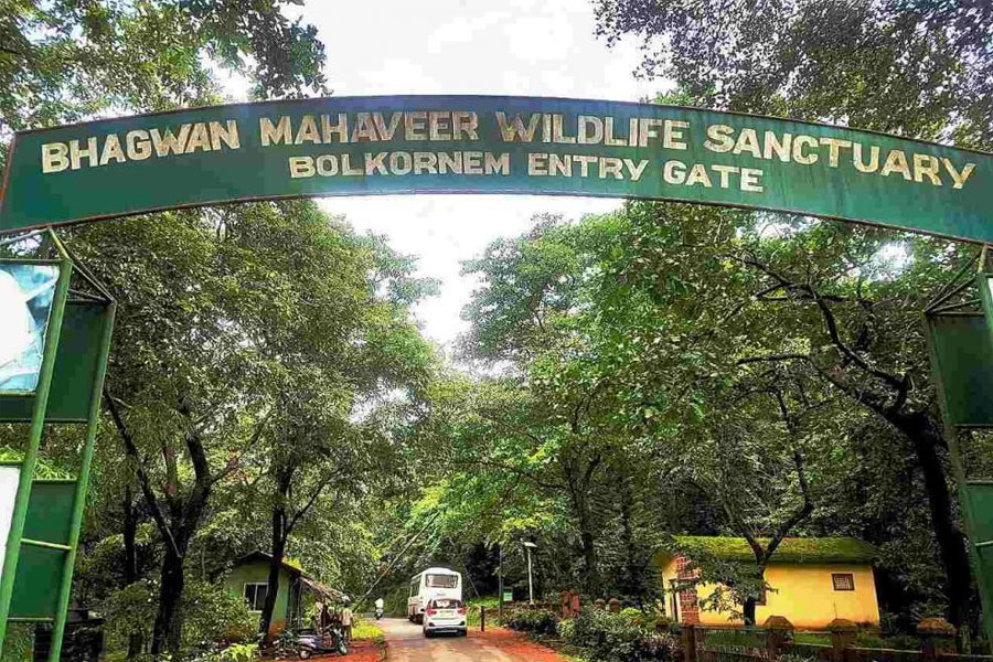 Bhagwan-Mahaveer-Wildlife-Sanctuary-and-Mollem-National-Park