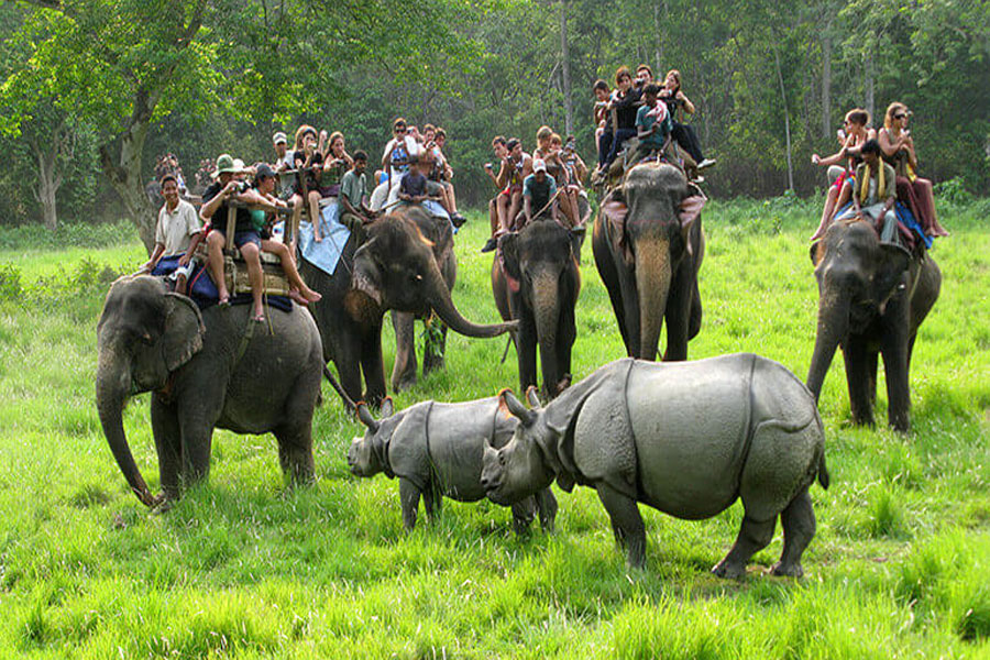 Chitwan-National-Park