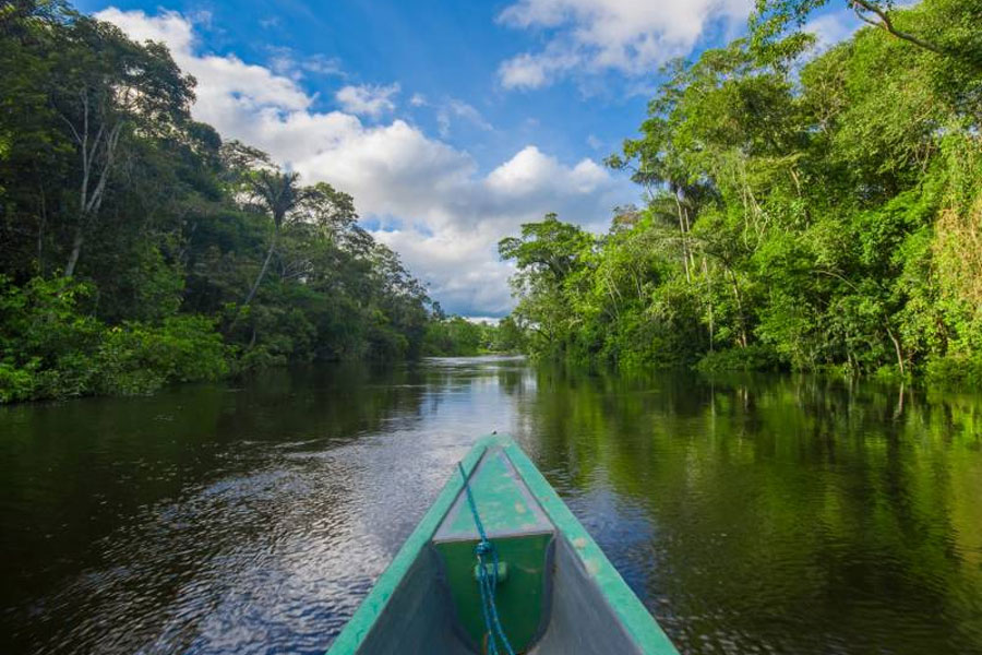 Experience-the-Amazon-rainforest