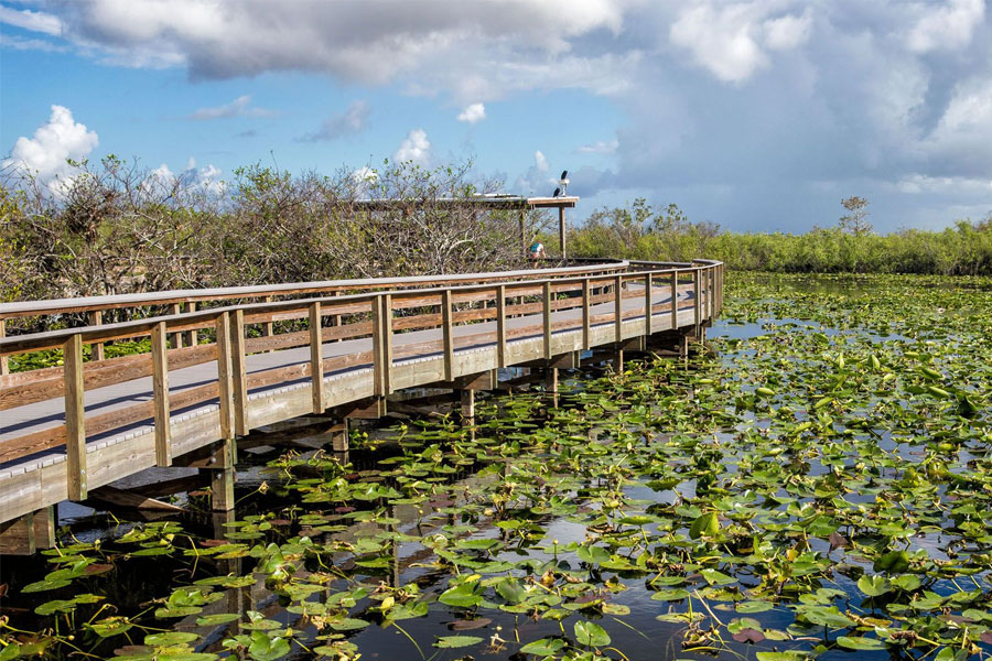 Explore-the-Everglades