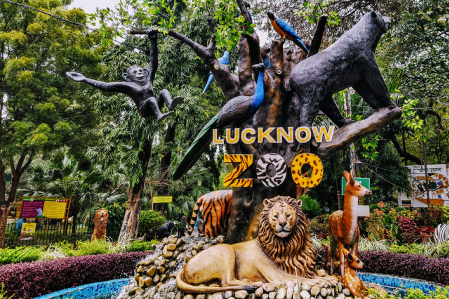Lucknow-Zoo