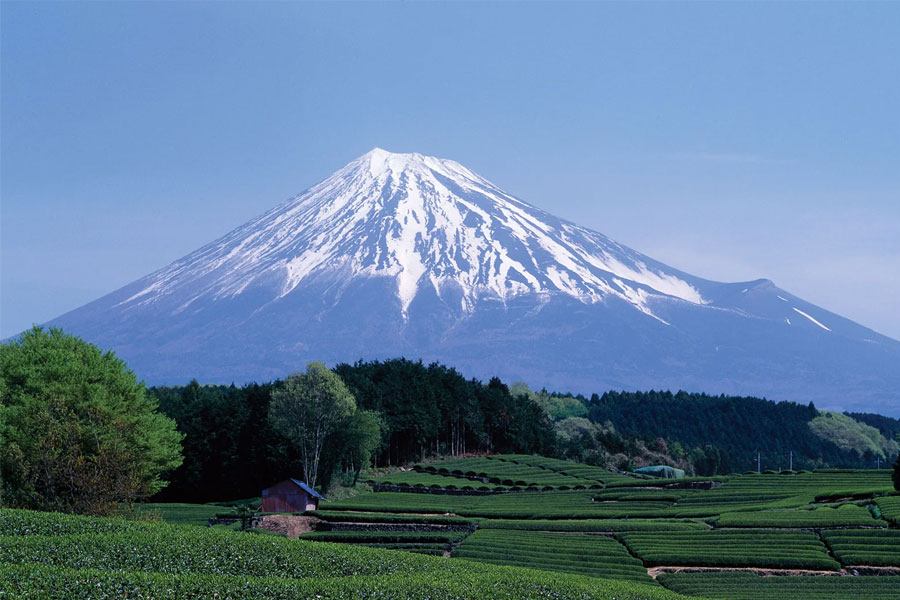 Mount-Fuji---Japan's-Highest-Mountain