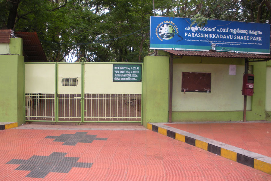 Parassinikkadavu-Snake-Park