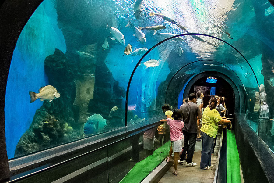 Phuket-Aquarium