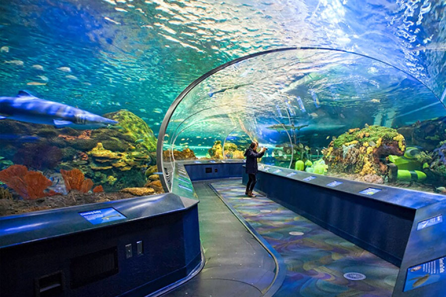 Ripley's-Aquarium-of-Canada