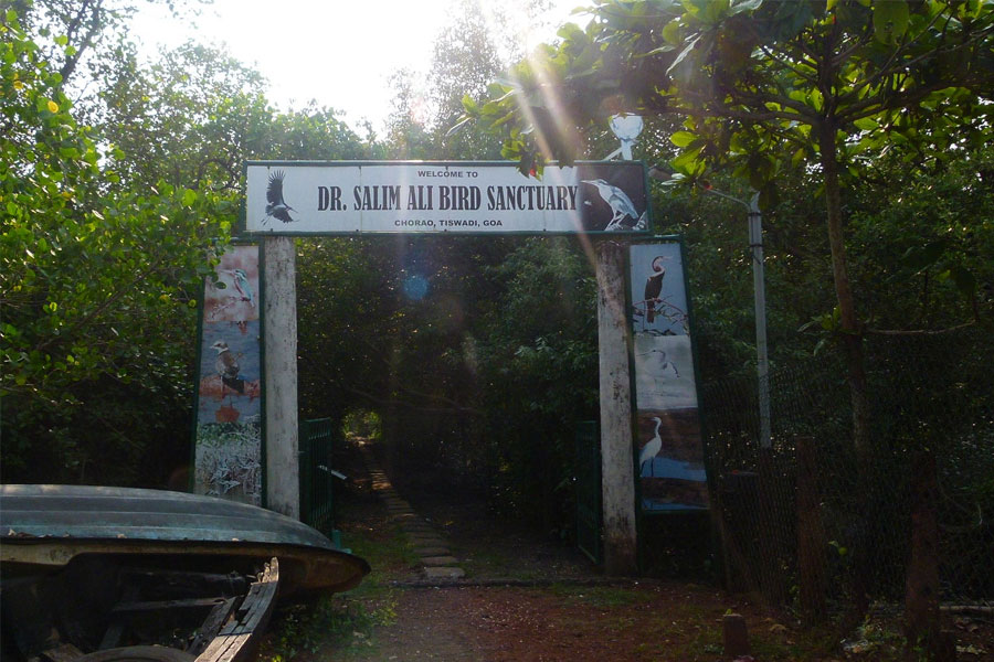 Salim-Ali-Bird-Sanctuary