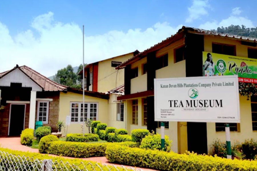 Tea-Museum