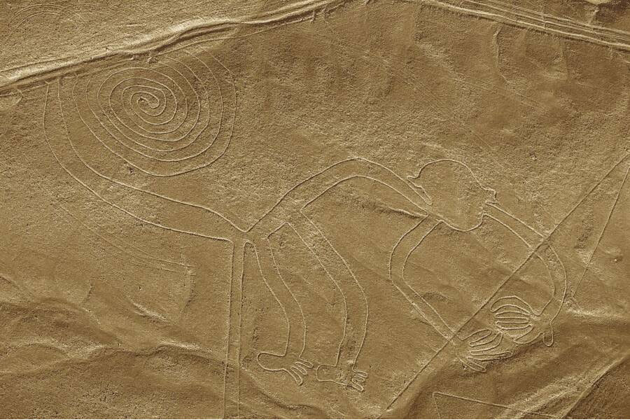 Visit-the-Nazca-Lines---The-enigma-of-ancient-Peru