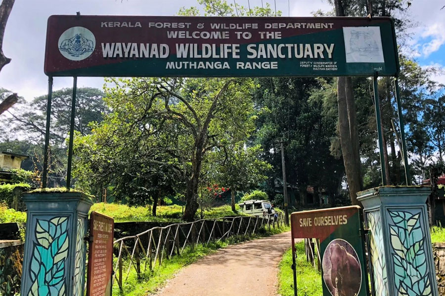 Wayanad-Wildlife-Sanctuary