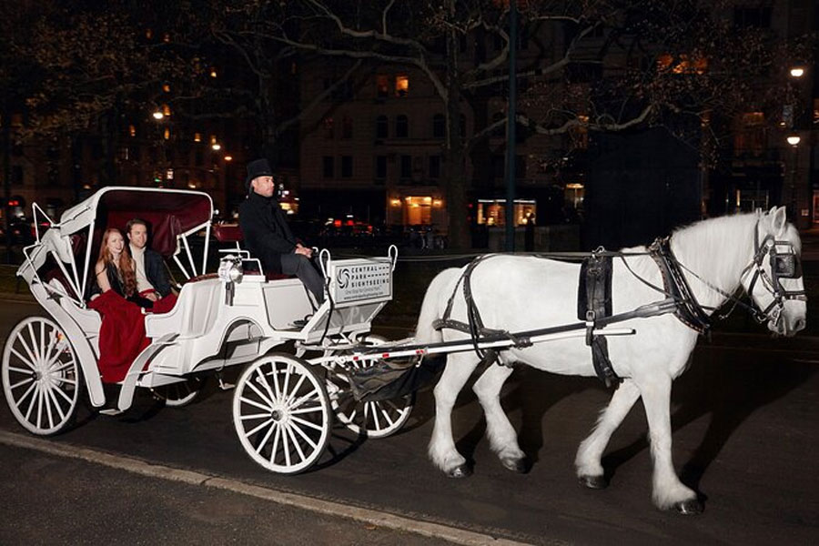 Horse-drawn-Carriage-Ride