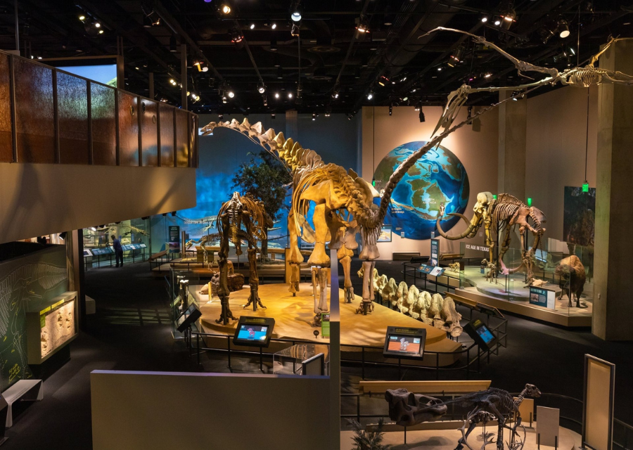 Dallas Travel guide -Perot Museum of Nature and Science
