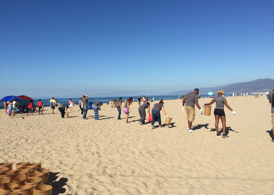 beach clean-up events