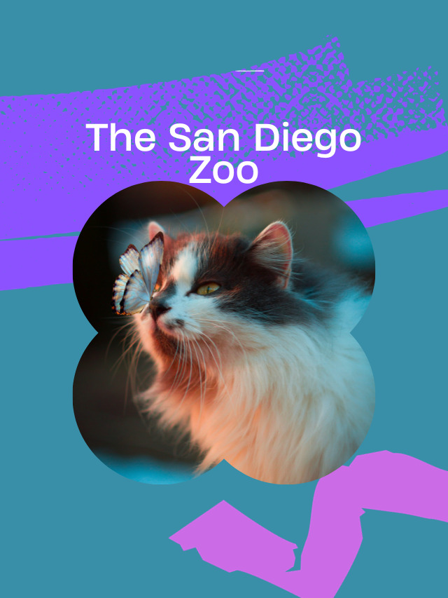 The San Diego Zoo: Must-See Animal Exhibits